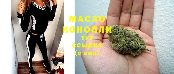 мет Ельня