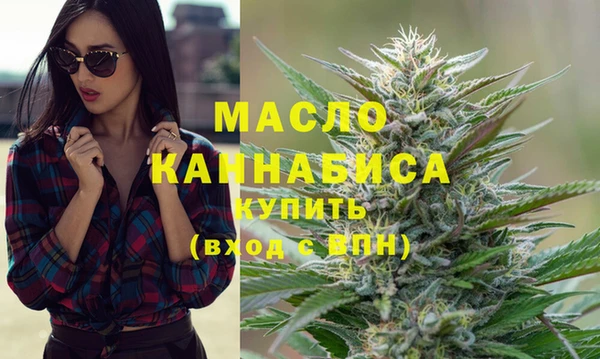 мет Ельня