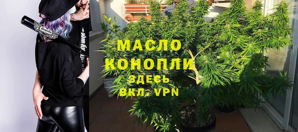 мет Ельня
