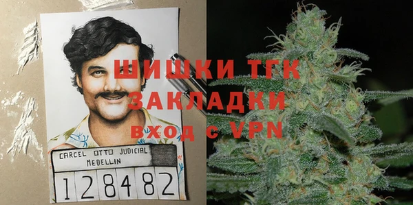 мет Ельня