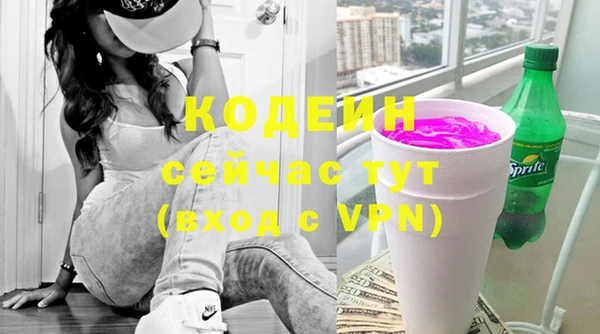мет Ельня