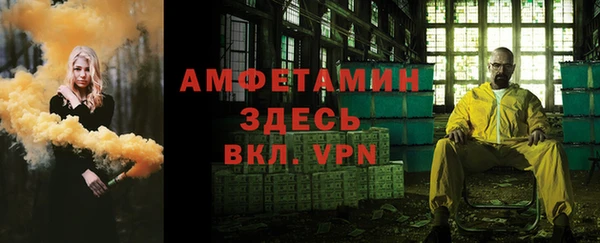 мет Ельня